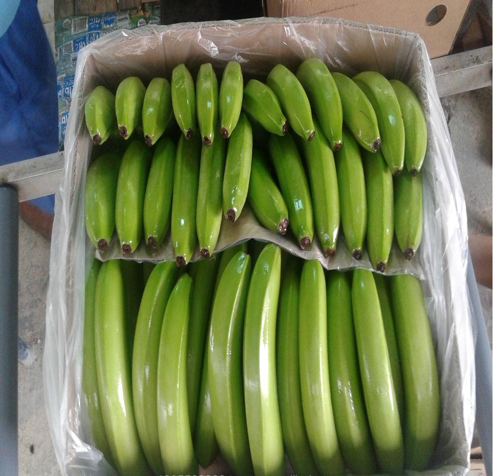 Зеленые Бананы В Магазине