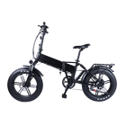 20 inch Alloy Electric Bike Snow Foldable electric Bicycle with Bafang All in one Rear Motor 48V 750w with Tail Light