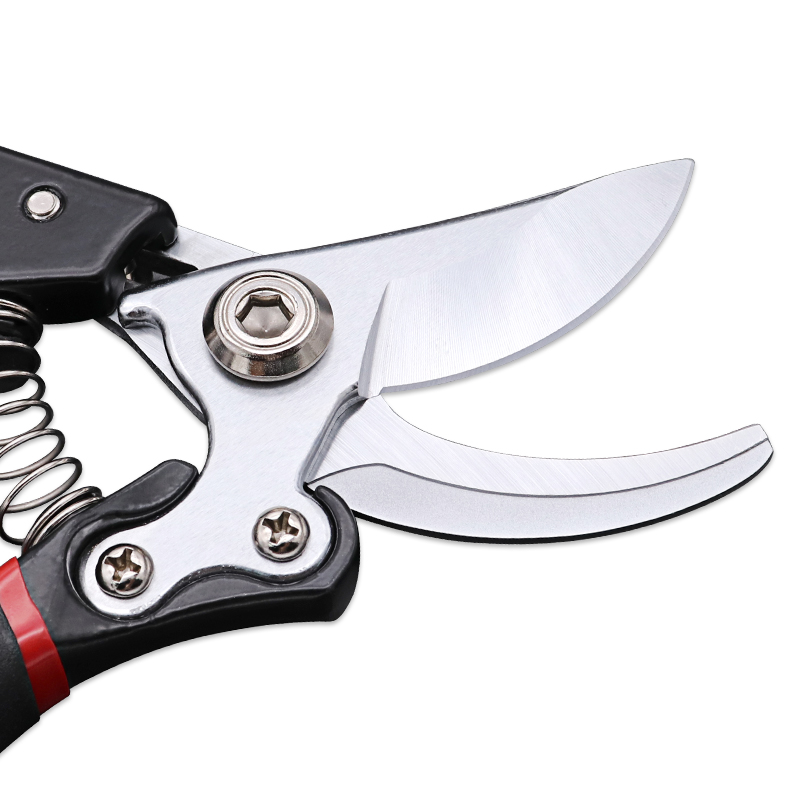 Stainless steel grape garden scissors cut fruit tree plant pruning trimming Pruning shears