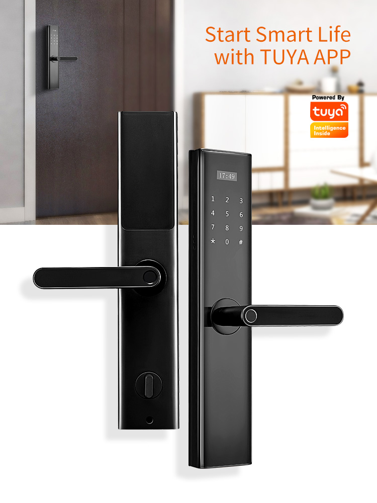 Tediton Tuya Wifi Biometric Fingerprint Intelligent Digital Push Pull Smart Door Lock