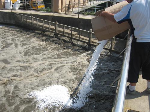 وسائط مرشح Cangier HDPE MBBR - 4/5/6/19/40 غرفة ، 900/1000/800/650/900m2 / m3 المسامية 2