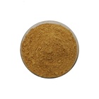 Medical grade apitoxin Pure honey Bee Venom buy apitoxin for sale buyers powder Cream Price Bee Venom