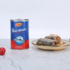 425G saidines canned fish safi with vegetable oil