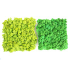 Wholesale yunnan indoor decoraitive Real Natural moss wall panel Reindeer Moss Panel