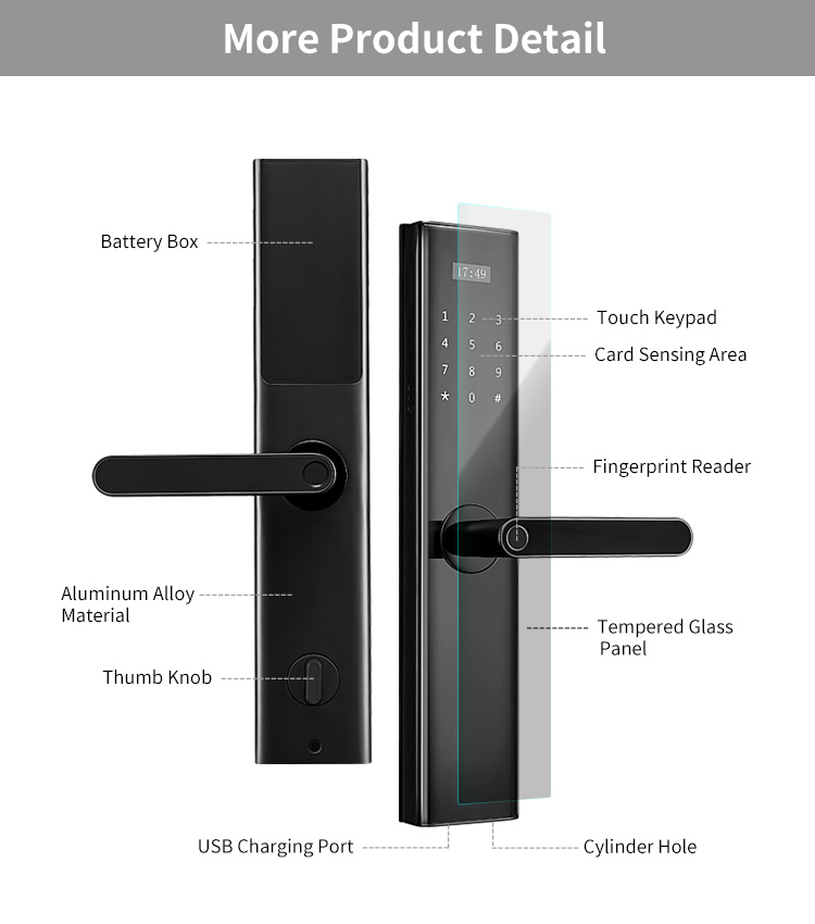 Tediton Tuya Wifi Biometric Fingerprint Intelligent Digital Push Pull Smart Door Lock