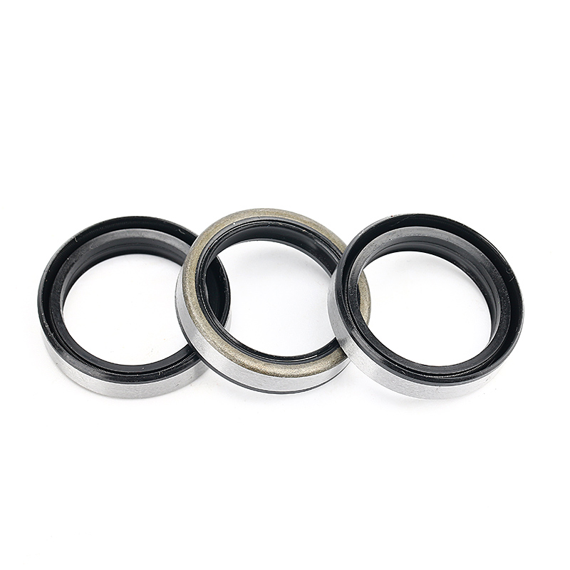 35*45*7 35*45*8 35*48*7 35*50*10 35*47*7 35*52*6 35*54*8 double lips TB iron steel shell skaleton oil seal 25327 25x32x7 25*32*7