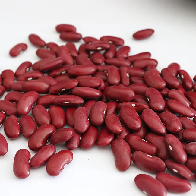 Dark Red Kidney bean