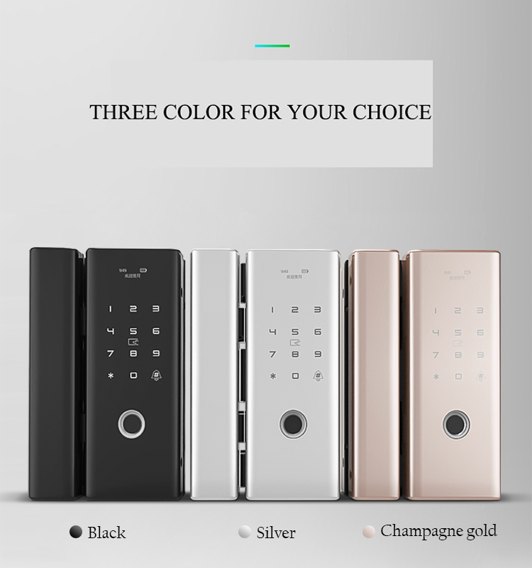 Luxury Keyless Biometric Fingerprint Password Rifd Digital Door Lock for Double Frameless Glass Door