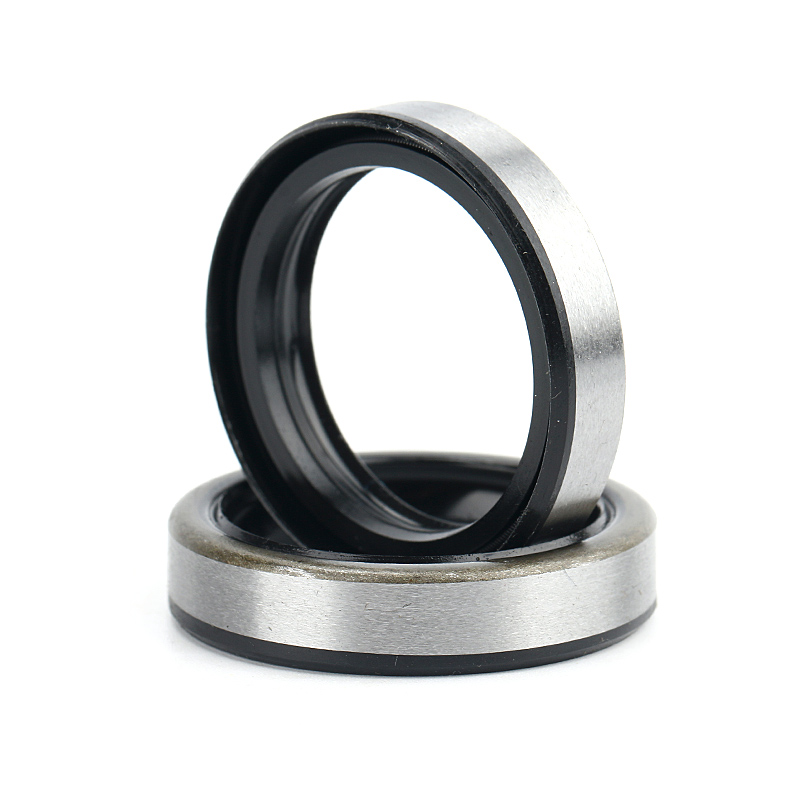 single double lips brown FKM black NBR with spring Rubber skeleton oil seals TC 8X24X7 15*30*10 16X24X4 20X35X5 21X35X7 22x28x4