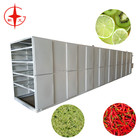 New Design Vegetable Mesh Belt Dryer/ Food Dryer Machine Professional Manufacture