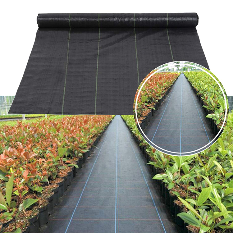 China Weed Control Fabric Mat China Weed Control Fabric Mat