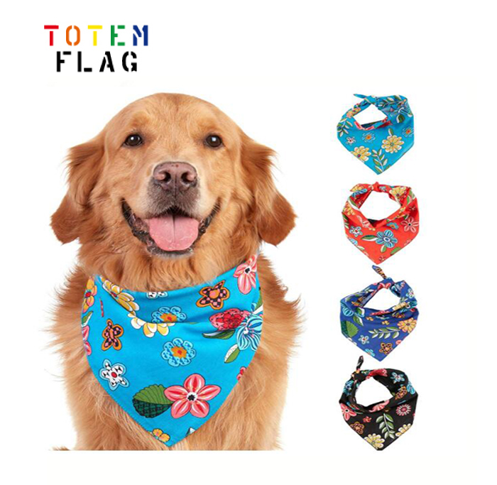 dog collar accessories