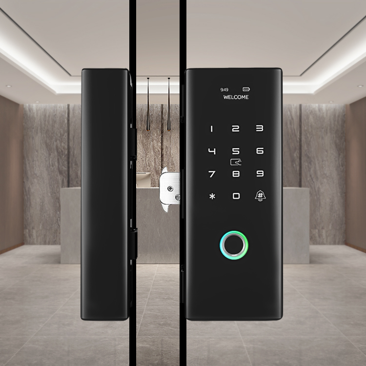 Luxury Keyless Biometric Fingerprint Password Rifd Digital Door Lock for Double Frameless Glass Door