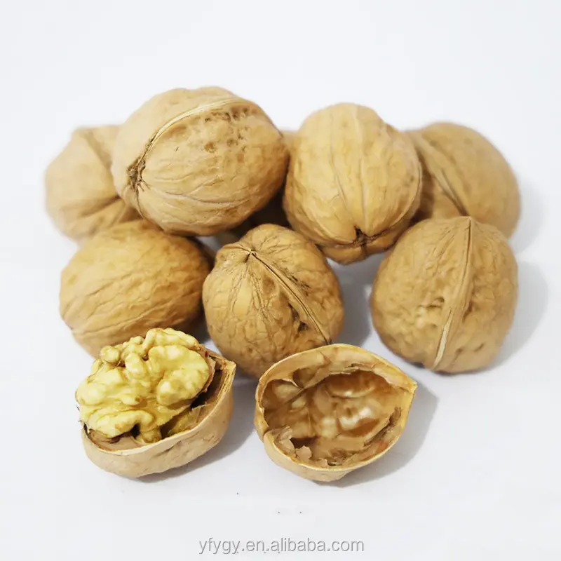 New crop 185 Walnuts with shell at low price