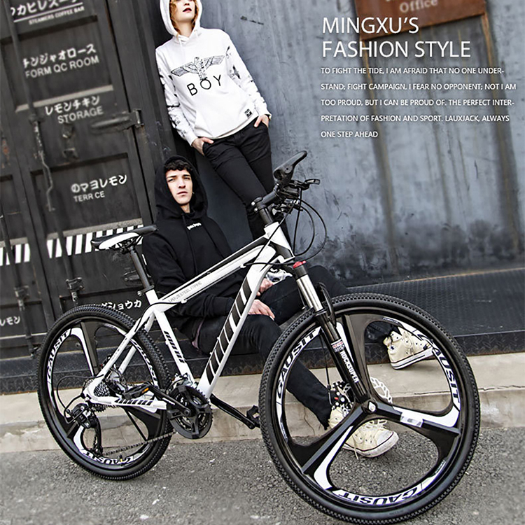 lauxjack mountain bike 26er downhill