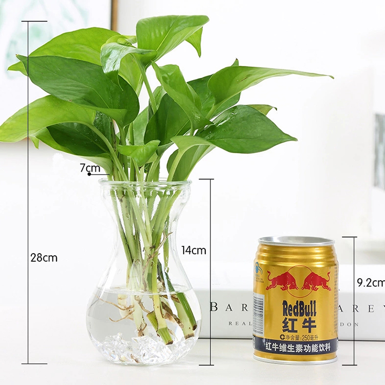 wholesale Cheap glass vase flowers arrangements