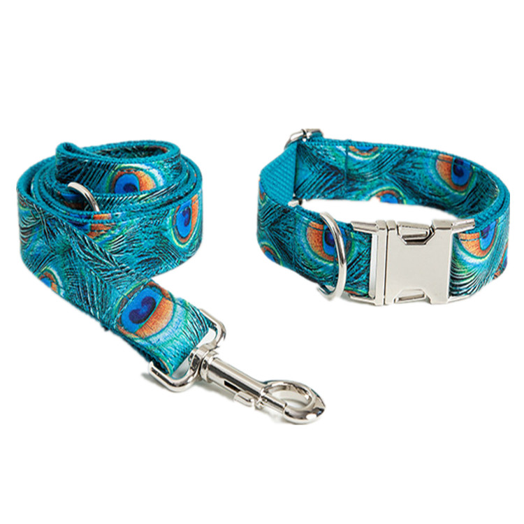 plastic dog collars with name plates