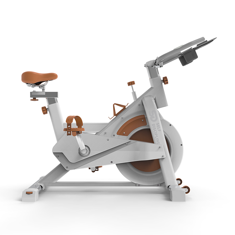 body fit spin bike