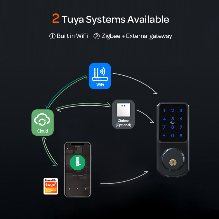 Keyless Electric Card Code Combination Electronic Deadbolt Door Lock with Tuya Smart Life APP