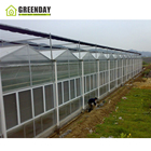 GREENDAY Low Cost Agricultural Greenhouse Plastic Film Polycarbonate for Tunnel Greenhouse