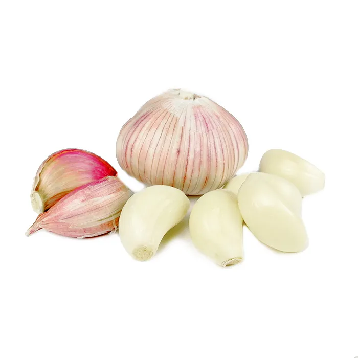 Fresh peeled garlic for sale