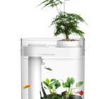 HFJH Amphilbian Eco-aquarium fish tank-Youth version