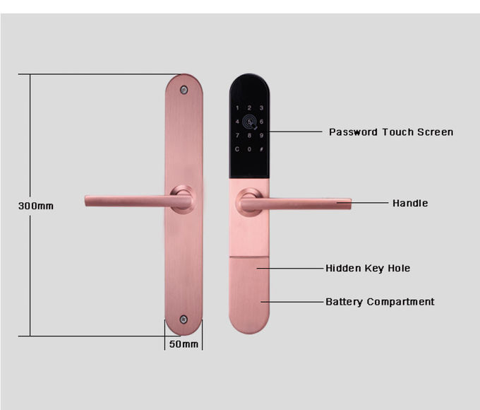 Tediton WiFi Biometric Fingerprint Aluminum Sliding Glass Door Lock Digital smart lock door