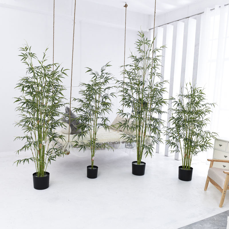 Philippines Bonsai Tree Sale Philippines Bonsai Tree Sale Manufacturers And Suppliers On Alibaba Com