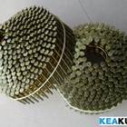 Ring Wire Siding Coil Nails for pallet