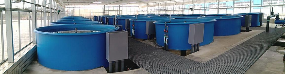وسائط مرشح Cangier HDPE MBBR - 4/5/6/19/40 غرفة ، 900/1000/800/650/900m2 / m3 المسامية 3