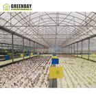 GREENDAY Greenhouse Tunnel for Sale with Irrigation System