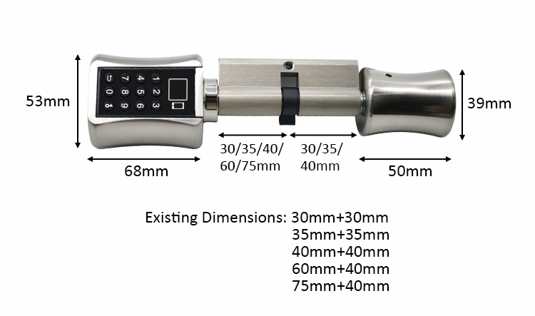 Tediton Best European Aluminum BLE APP Door Lock Cylinder with Fingerprint Key