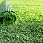 Factory Price Plastic Artifical Box Hedges Artificial Roll Wall Grass Decoration