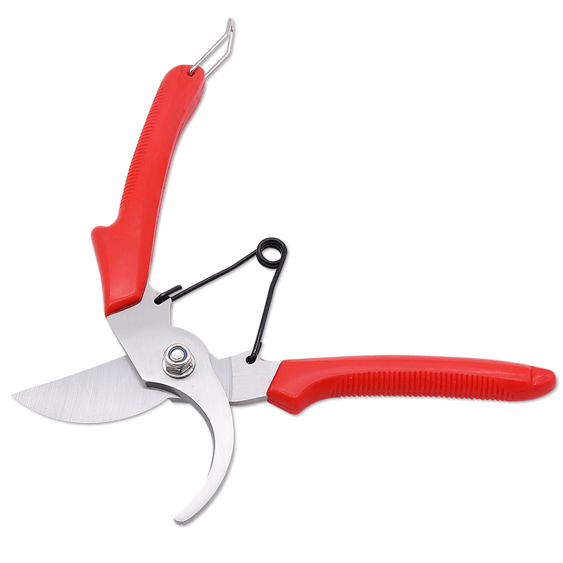 Trimming fruit tree garden pruners