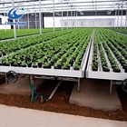 The Cheapest and Best Quality Greenhouse Rolling Benches