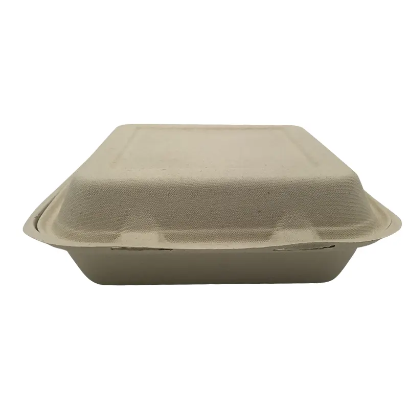 9" Biodegradable Wheat Straw Food Container