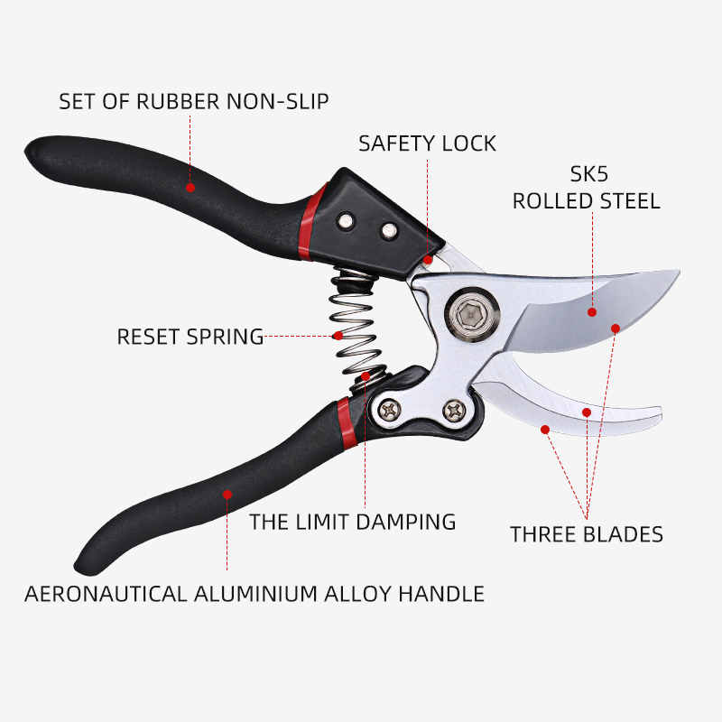Stainless steel grape garden scissors cut fruit tree plant pruning trimming Pruning shears