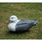 Plastic Greenhead Duck Floater Decoys Duck Hunting Decoy for Decoration