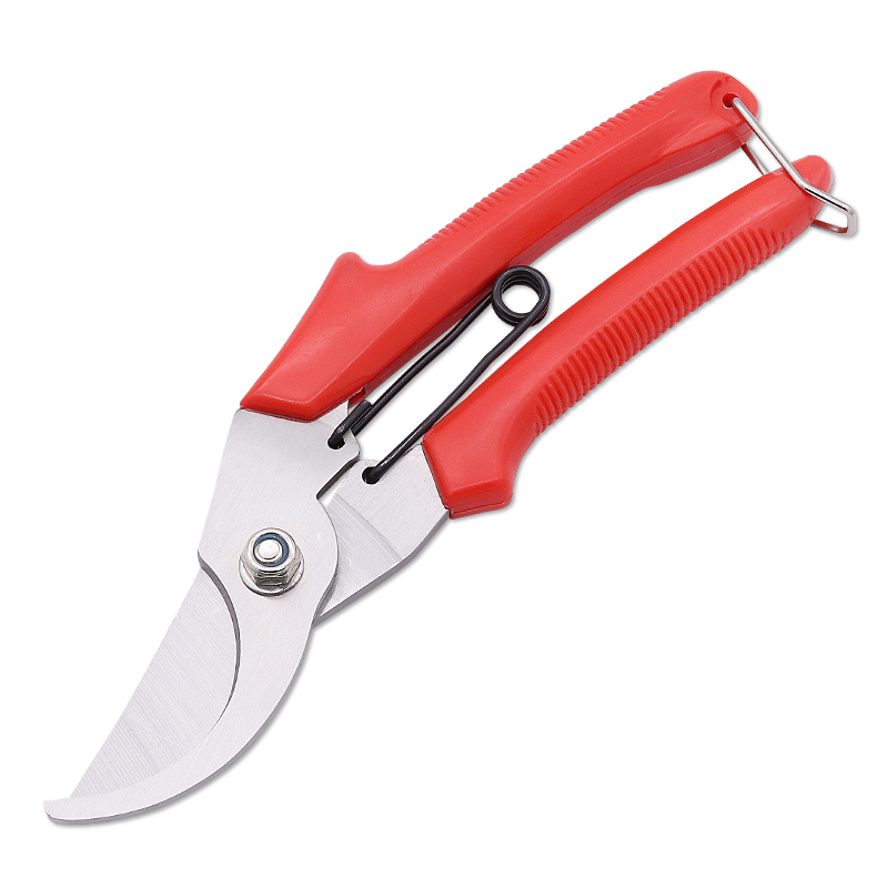 Trimming fruit tree garden pruners