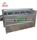 Brush fruit and root vegetable peeling machine
