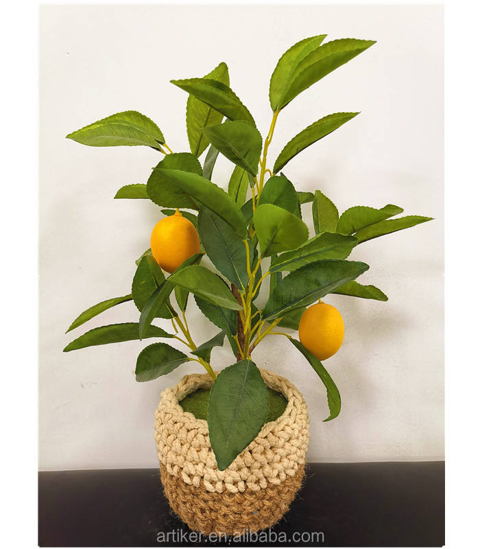 China Bonsai Prices China Bonsai Prices Manufacturers And Suppliers On Alibaba Com