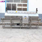 IQF tunnel frozen all kinds of vegetables fruit preservation fast freezing liquid nitrogen fast freezer IQFfreezer