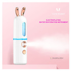 Electric beauty hair moisture nano mister personal handy cooling face facial nano mist spray