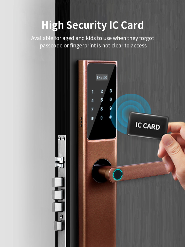 Tuya Wifi Digital Smart Door Lock Cylinder with Smart Phone Fingerprint Code Card and Key