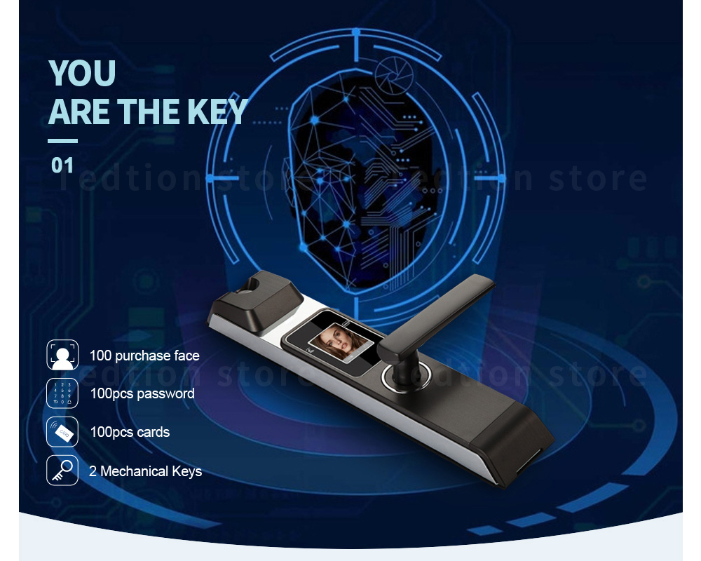 Security Intelligent Push Pull Digital Smart Face Lock with Eye Camera Scanner