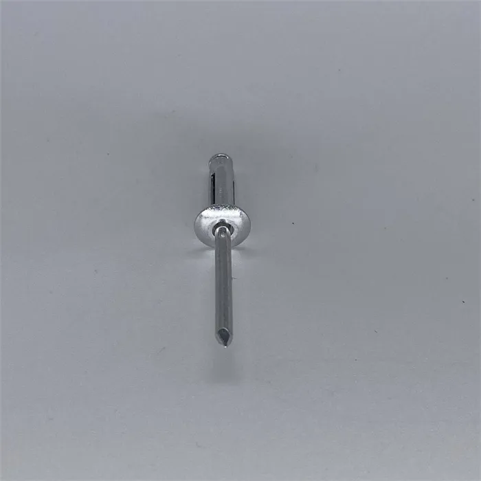 Hot Sale Customized Iron/Stainless Steel And Aluminium Aluminum Lantern Blind Rivets For Construction Site And Home Renovation