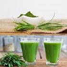 HONGDA 30Mesh 400Mesh Wheat Grass Juicer Organic Wheat Grass Grass Juice Powder