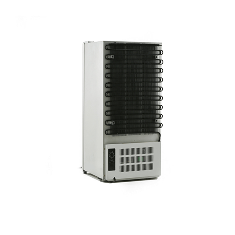 70L ice cream freezer display case refrigerator