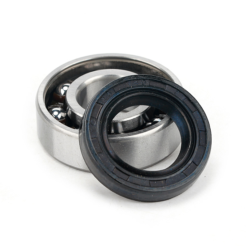 single double lips brown FKM black NBR with spring Rubber skeleton oil seals TC 8X24X7 15*30*10 16X24X4 20X35X5 21X35X7 22x28x4