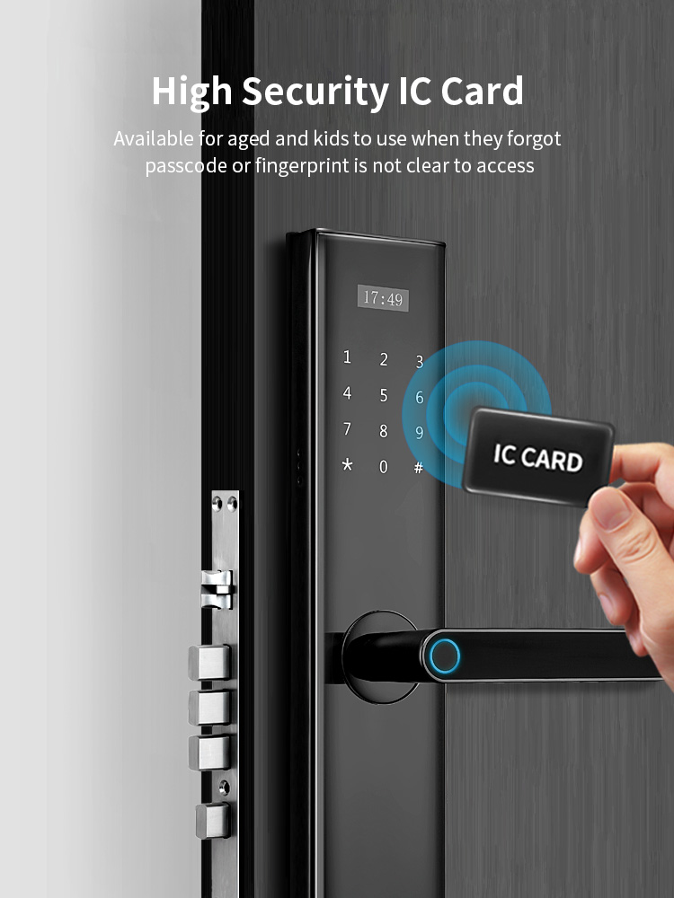 Tediton Tuya Wifi Biometric Fingerprint Intelligent Digital Push Pull Smart Door Lock